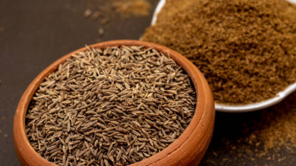 Jeera (Cumin)
