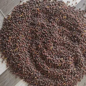 Rai (Brown Mustard)