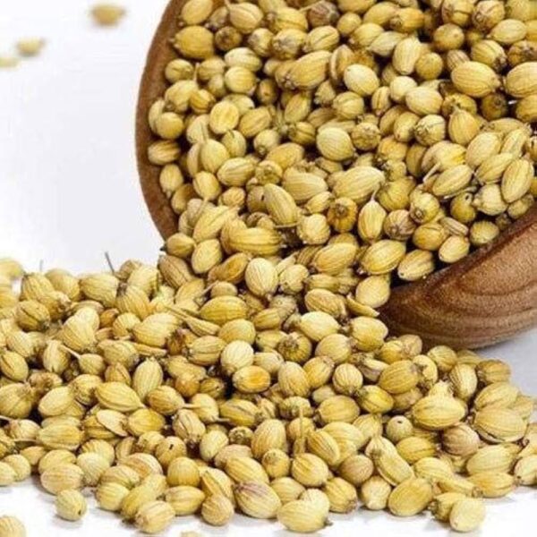 Sabut Dhaniya (Coriander Seeds)