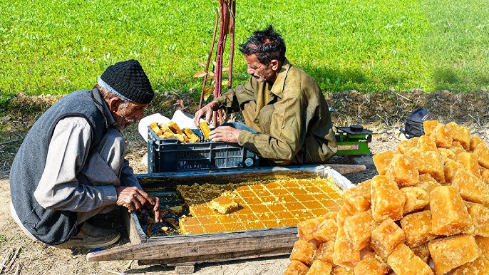 Organic Jaggery (Gur) - Image 2