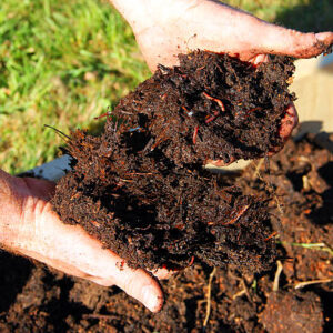 Krishi Mitra Vermicompost